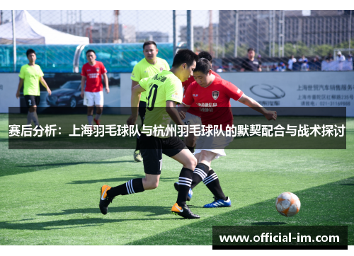 赛后分析：上海羽毛球队与杭州羽毛球队的默契配合与战术探讨