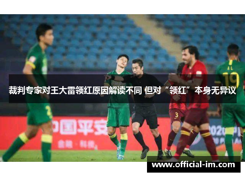 裁判专家对王大雷领红原因解读不同 但对“领红”本身无异议