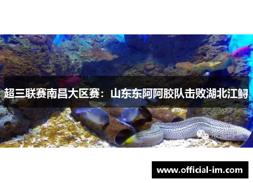 超三联赛南昌大区赛：山东东阿阿胶队击败湖北江鲟